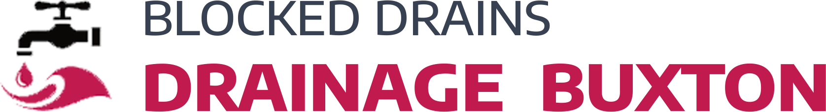 website logo